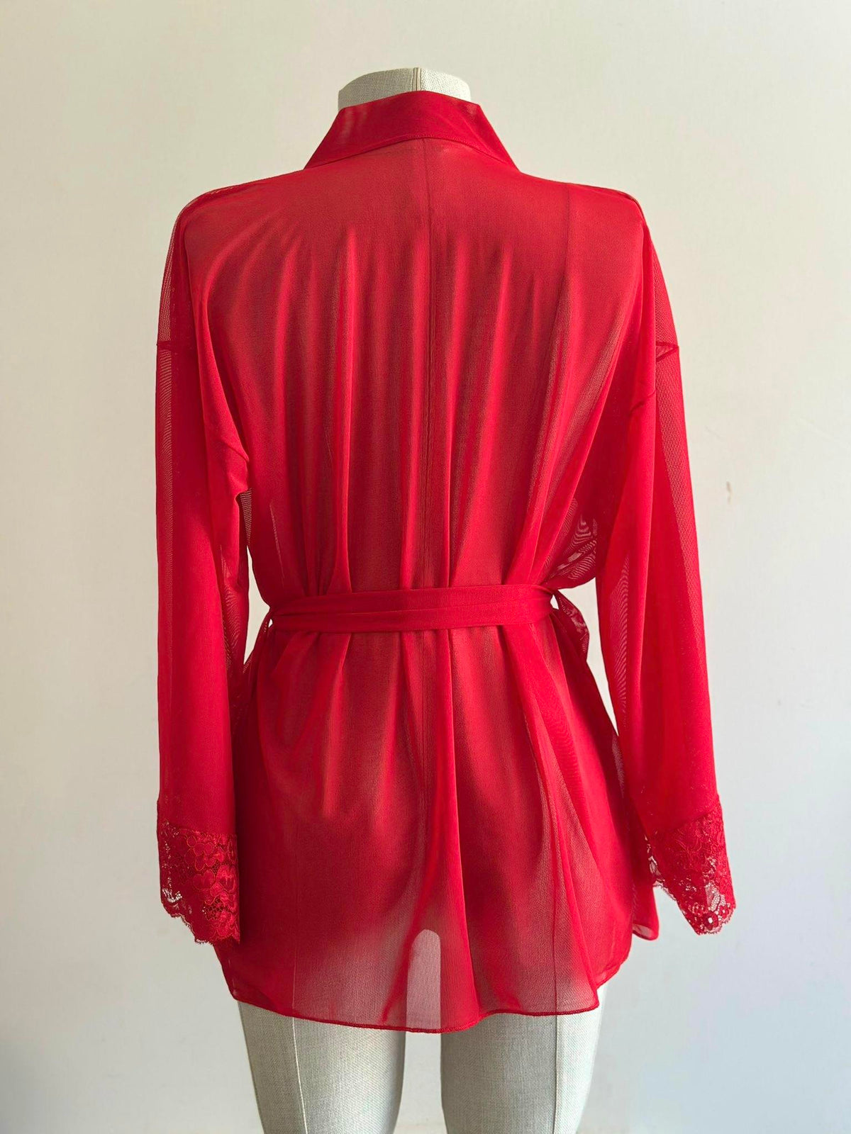 Red Lace Detail Tulle Mini Robe