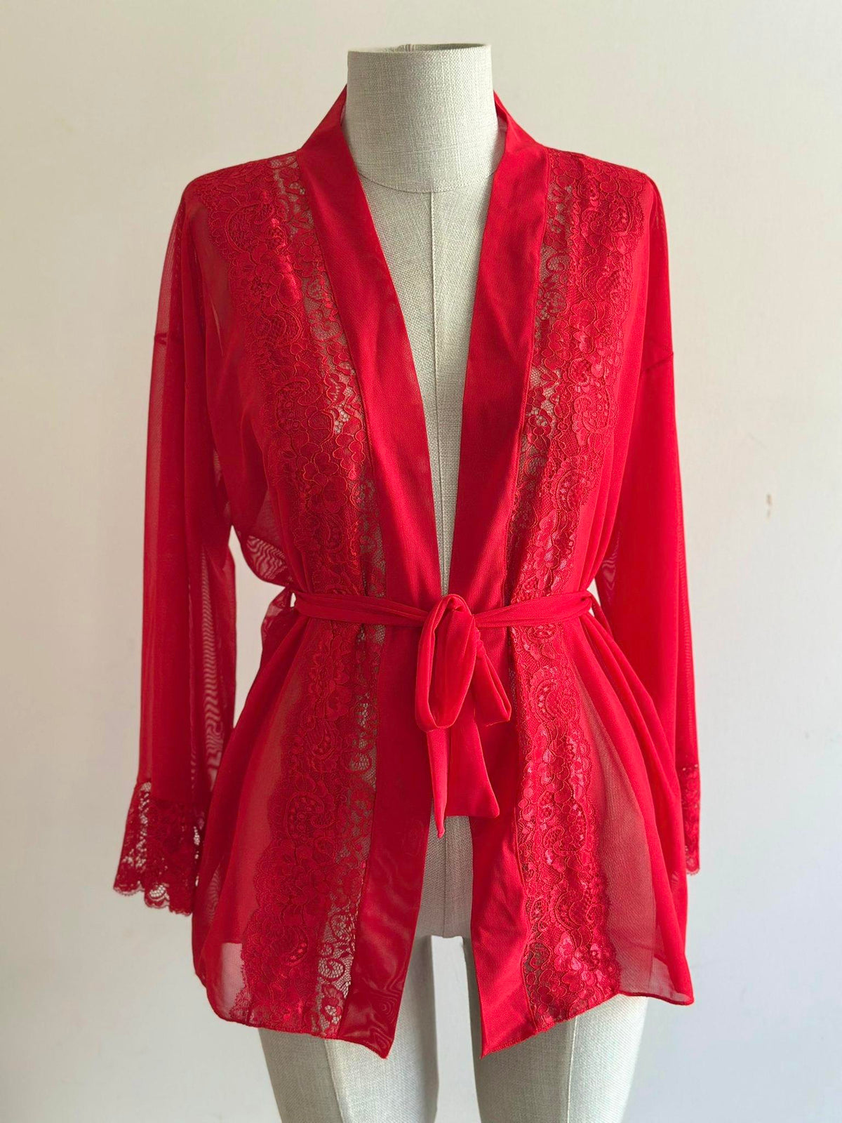 Red Lace Detail Tulle Mini Robe