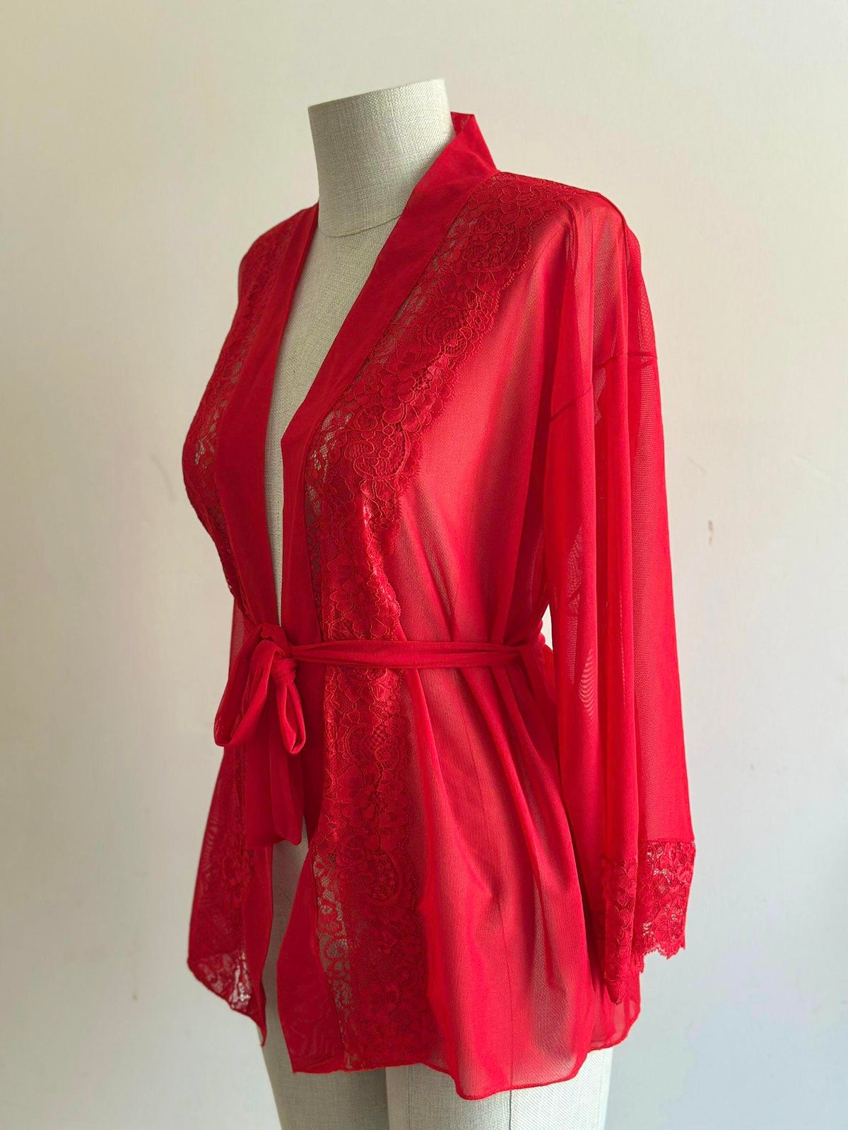 Red Lace Detail Tulle Mini Robe
