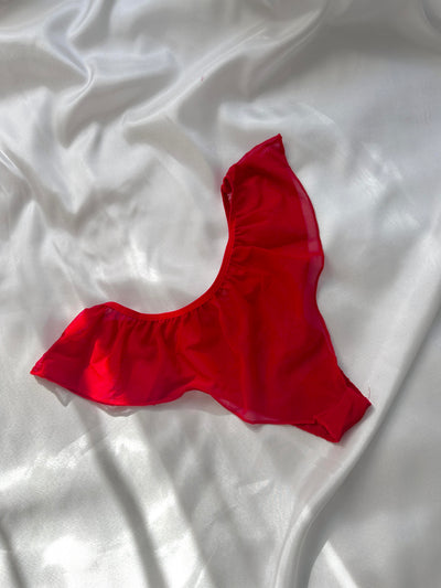 Red Tulle Panties